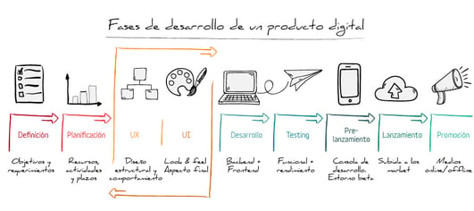 fases-desarrollo